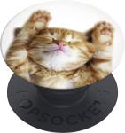 Popsockets - PopGrip Basic Snoozy Cat